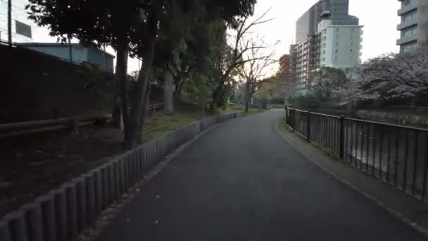 Tokyo Sendaiborigawa Park Cherry Blommor Cykling — Stockvideo