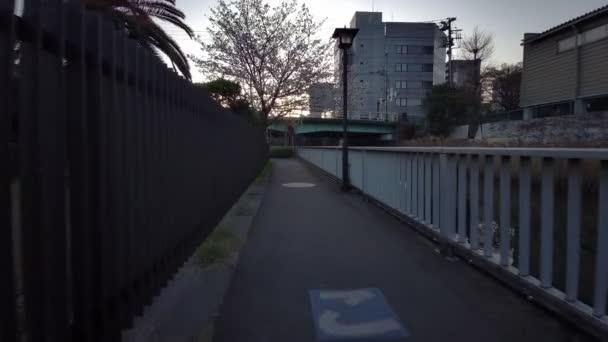 Tokio Sendaiborigawa Park Kersenbloesems Fietsen — Stockvideo