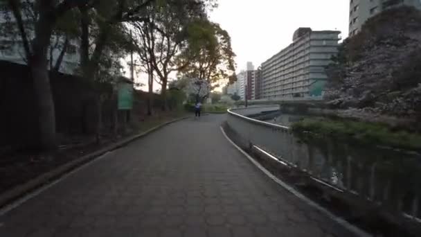 Tokyo Sendaiborigawa Park Flores Cereja Ciclismo — Vídeo de Stock