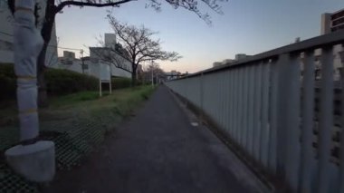 Tokyo Oyoko Nehri Kiraz çiçekleri Bisiklet sürüyor