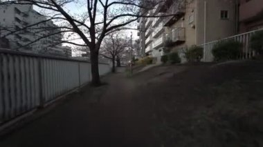 Tokyo Oyoko Nehri Kiraz çiçekleri Bisiklet sürüyor