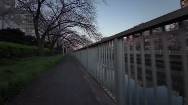 Tokyo Oyoko River Fleurs Cerisier Cyclisme — Video