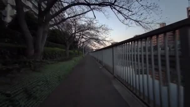 Tokyo Oyoko River Fleurs Cerisier Cyclisme — Video