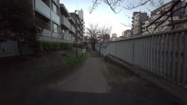 Tokio Oyoko River Kirschblüten Radfahren — Stockvideo