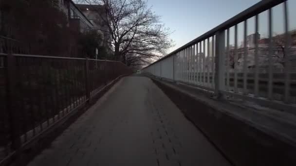 东京奥约科河樱花骑自行车 — 图库视频影像