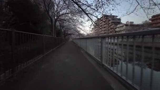 Tóquio Rio Oyoko Flores Cerejeira Ciclismo — Vídeo de Stock