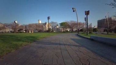 Tokyo Ojima Komatsugawa Park Kiraz çiçekleri Bisiklet