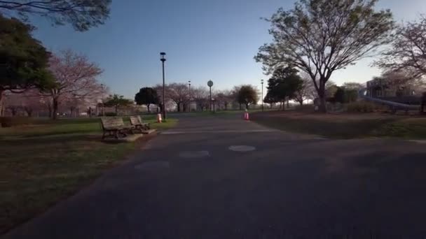 Tokió Ojima Komatsugawa Park Cseresznyevirág Kerékpározás — Stock videók