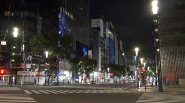 Tokyo Ginza gece görüşü 2021 Mayıs
