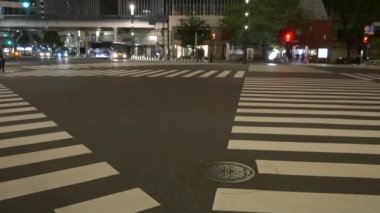 Tokyo Ginza gece görüşü 2021 Mayıs