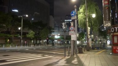 Tokyo Ginza gece görüşü 2021 Mayıs