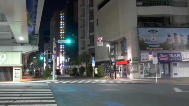 Tokio Ginza Nachtsicht 2021 Mai — Stockvideo