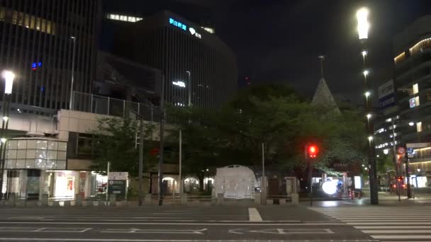 Tokio Ginza Vista Nocturna 2021 Mayo — Vídeo de stock