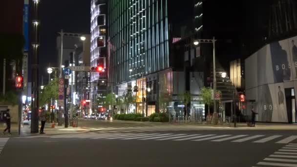 Tokyo Ginza Widok Nocy 2021 Maja — Wideo stockowe