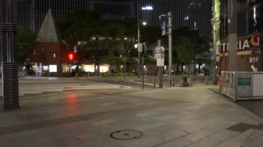 Tokyo Ginza gece görüşü 2021 Mayıs