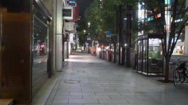 Tokyo Ginza gece görüşü 2021 Mayıs