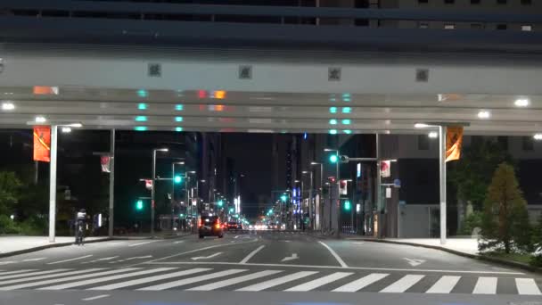 Tokio Ginza Nachtsicht 2021 Mai — Stockvideo