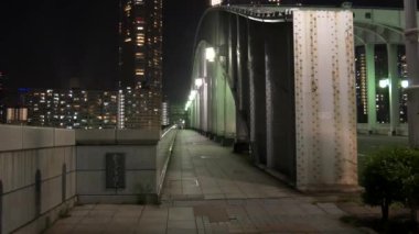 Tokyo Kachidoki Köprüsü Gece Görüşü 2021 Mayıs
