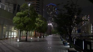 Tokyo Harumi Gece Manzarası 2021 Mayıs