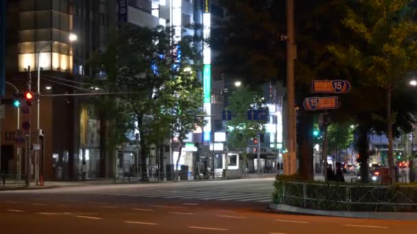 Tokyo Shinbashi Gece Görüşü 2021 Mayıs — Stok video
