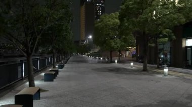 Tokyo Harumi Gece Manzarası 2021 Mayıs