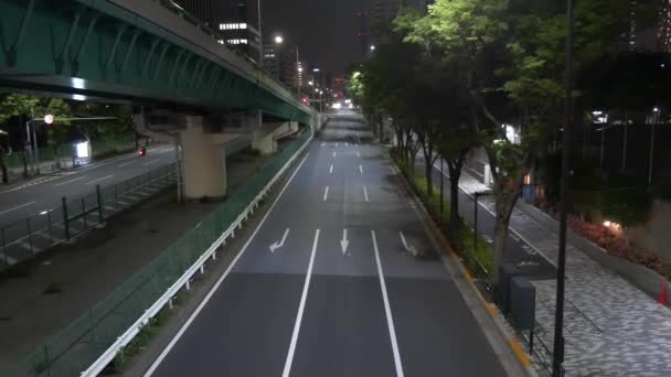 Ночной Вид Токио Харуми 2021 Мая — стоковое видео