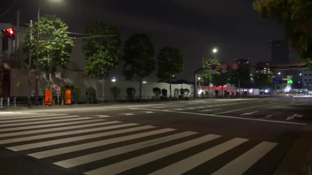 Japonya Tsukiji Tokyo Gece Manzarası 2021 Mayıs — Stok video