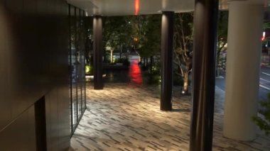 Tokyo Liman Kenti Takeshiba, Japon Gece Manzarası