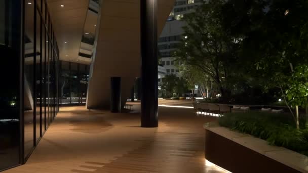 Токио Портовый Город Такэсиба Ночной Вид Японии — стоковое видео