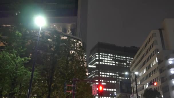 Tokyo Port City Takeshiba Japón Vista Nocturna — Vídeos de Stock