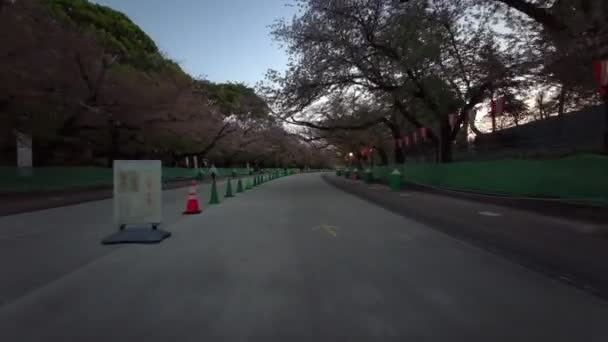 Tokio Ueno Onshi Park Frühen Morgen Radfahren 2021 April — Stockvideo