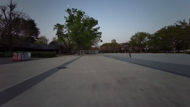 우에노 공원이른 자전거 20214 — 비디오