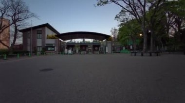 Tokyo Ueno Onshi Parkı Sabah Bisikleti 2021 Nisan