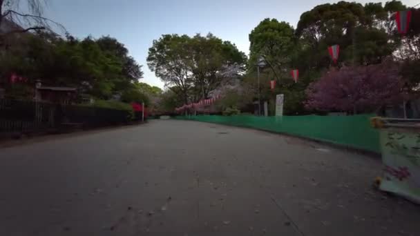 Tokyo Ueno Onshi Park Early Morning Cycling 2021Aprile — Video Stock
