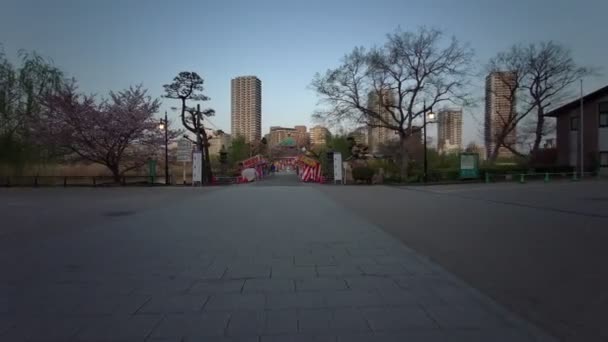 Τόκιο Ueno Onshi Park Νωρίς Πρωί Ποδηλασία 2021Απρίλιος — Αρχείο Βίντεο