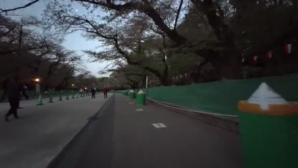 Tokyo Ueno Onshi Park Early Morning Cycling 2021April — Stockvideo