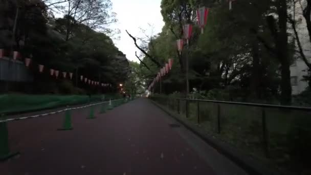 4月20日至21日 东京宇野公园晨车 — 图库视频影像