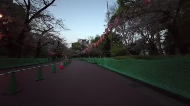 Tokyo Ueno Onshi Park Tidig Morgon Cykling 2021April — Stockvideo