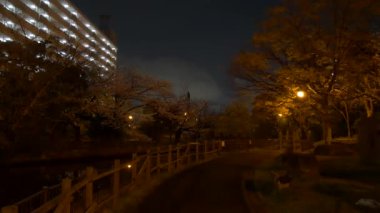 Gece kiraz çiçekleri 2021 İlkbahar