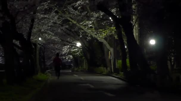 Nattkörsbärsblommor 2021 Vår — Stockvideo