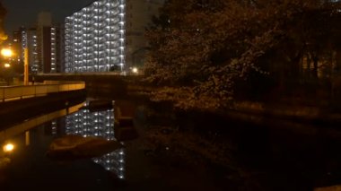 Gece kiraz çiçekleri 2021 İlkbahar