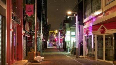 Sentetik Tokyo kar yağışı gece görüntüsü CG hareket grafikleri