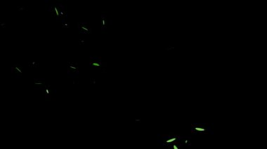 Düşen parçacıkları tüy hareketi grafikleri