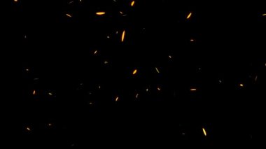 Düşen parçacıkları tüy hareketi grafikleri