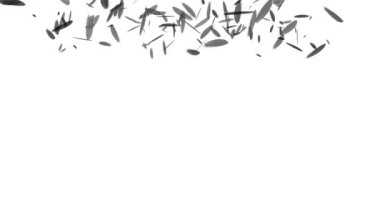 Düşen parçacıkları tüy hareketi grafikleri