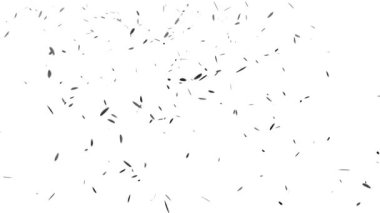 Düşen parçacıkları tüy hareketi grafikleri