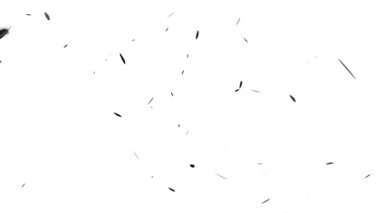 Düşen parçacıkları tüy hareketi grafikleri