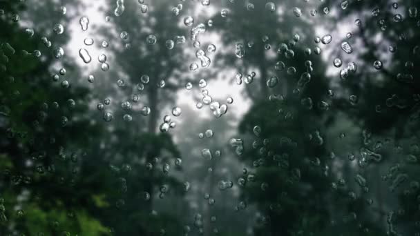 Glas Regen Water Druppels Gradatie Beweging Graphics — Stockvideo