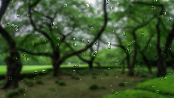 Glas Regen Wasser Tropfen Abstufung Bewegungsgrafik — Stockvideo