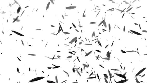 Fjädrar Fallande Partiklar Rörelse Grafik — Stockvideo